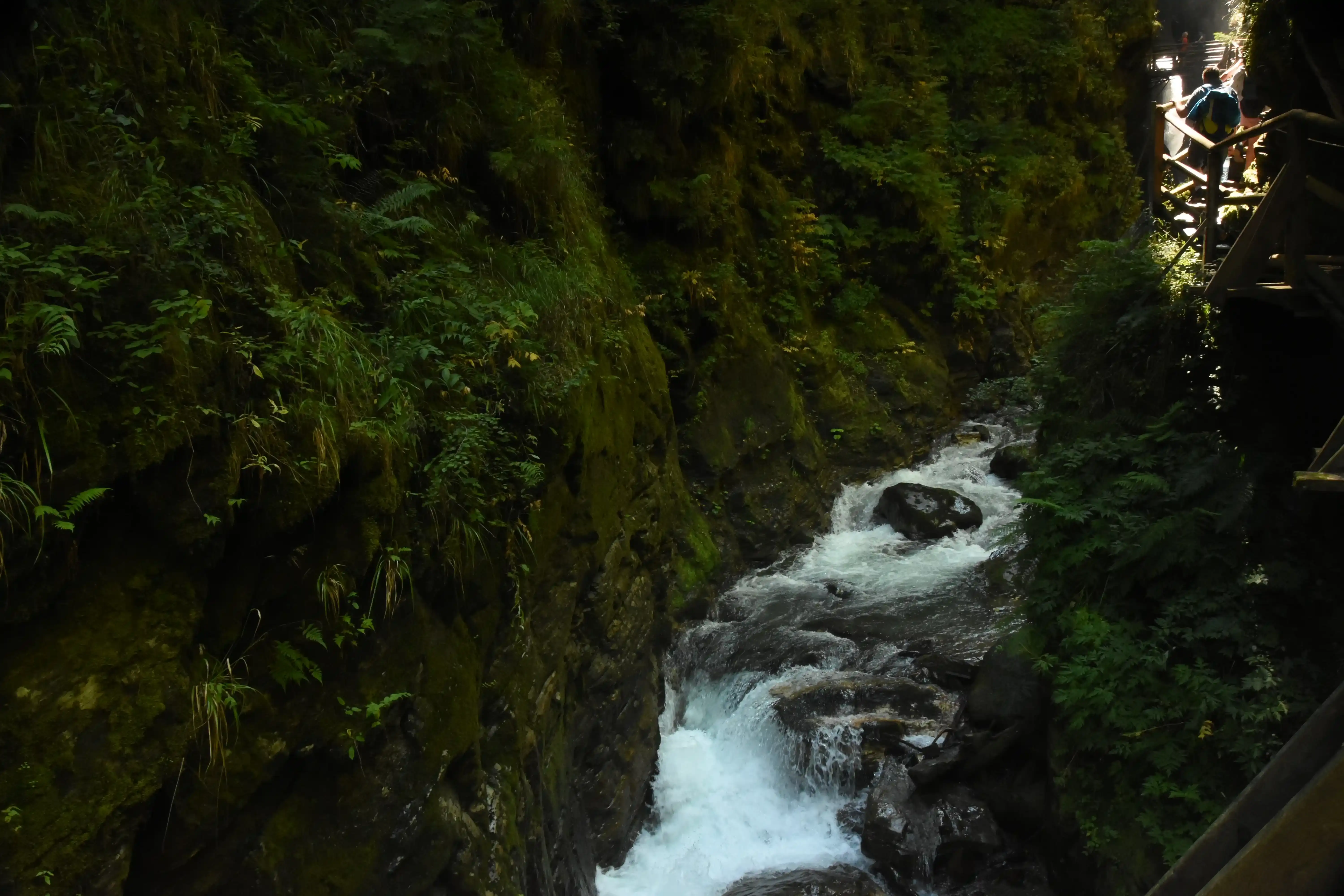 Part of the water stream and the path on the far right.